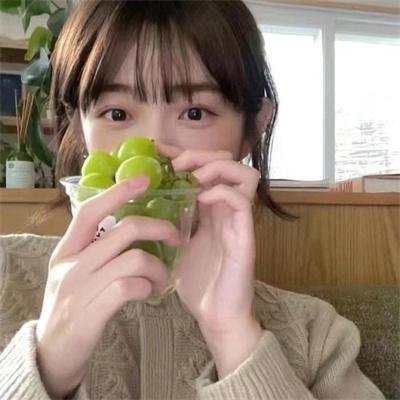 齐姆与友
